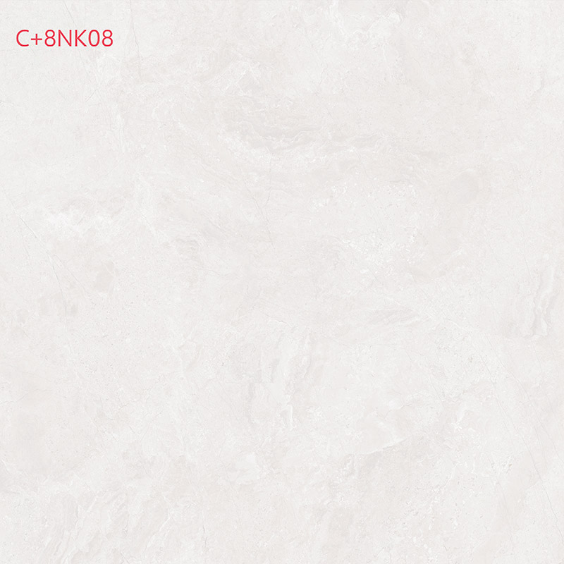 C+8NK08